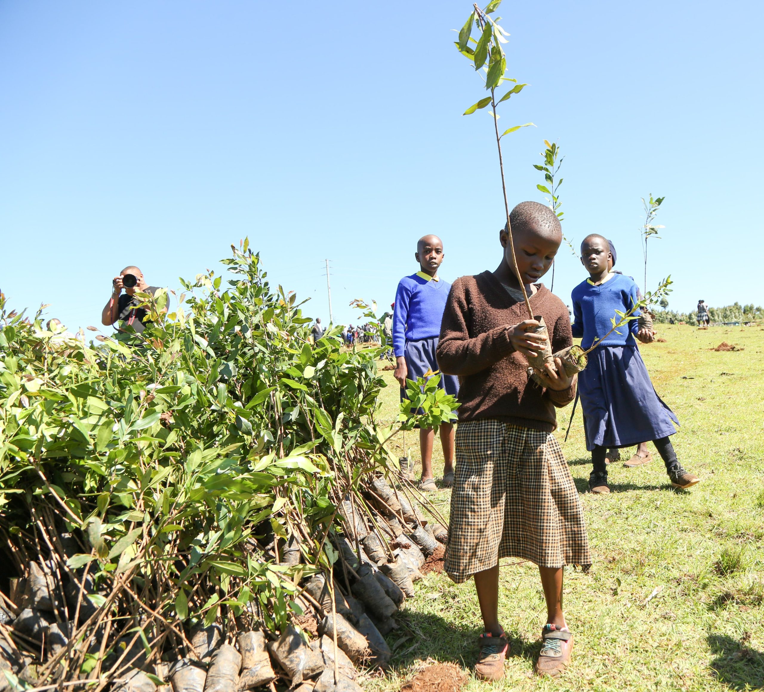 School children planting trees at Itare Dam
