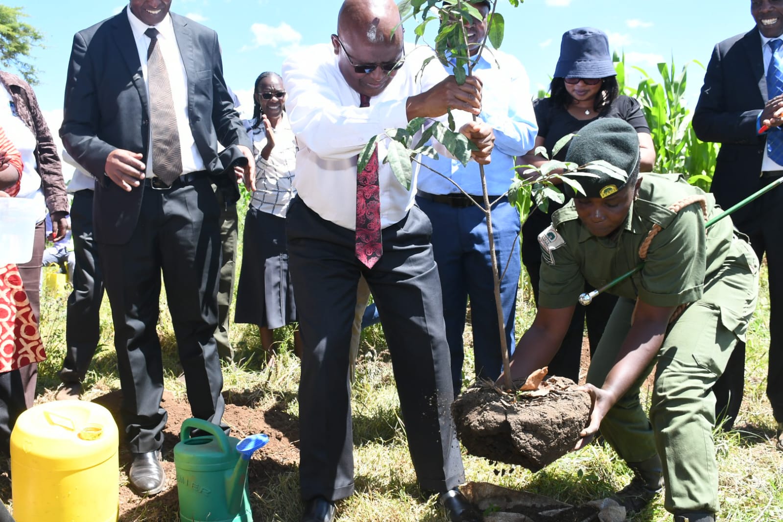 Marking World Environment Day 2026