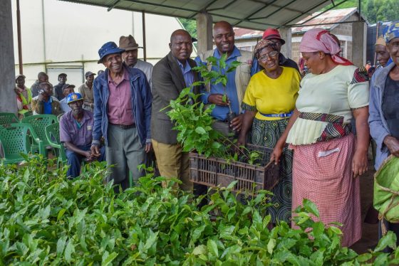 Governor Kihika Revives Agriculture, Empowers Thousands of Farmers